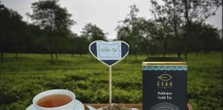 D2C Tea Brand Esah Tea buys Pabhojan Gold Tea, a rare tea variety, at a record price of Rs 1 lakh per Kg at the auction
