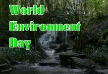World Environment Day 2022 – Living Sustainably Amidst Global Warming