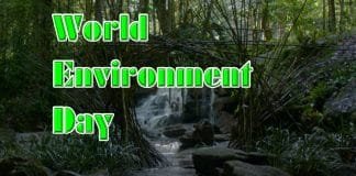World Environment Day 2022 – Living Sustainably Amidst Global Warming