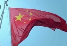 Why Chinese Millennials are Raising Pets Instead of Kids