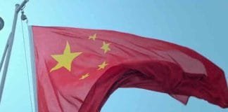 Why Chinese Millennials are Raising Pets Instead of Kids