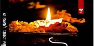 लेखक प्रो. संजय द्विवेदी की पुस्तक “न हन्यते ” की समीक्षा पुस्तक आत्मीयता से ओत-प्रोत स्मृतियां