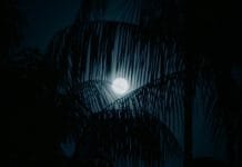 First Lunar Eclipse of 2024 in March: Insights into Sutak Period and Traditions