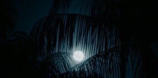 First Lunar Eclipse of 2024 in March: Insights into Sutak Period and Traditions