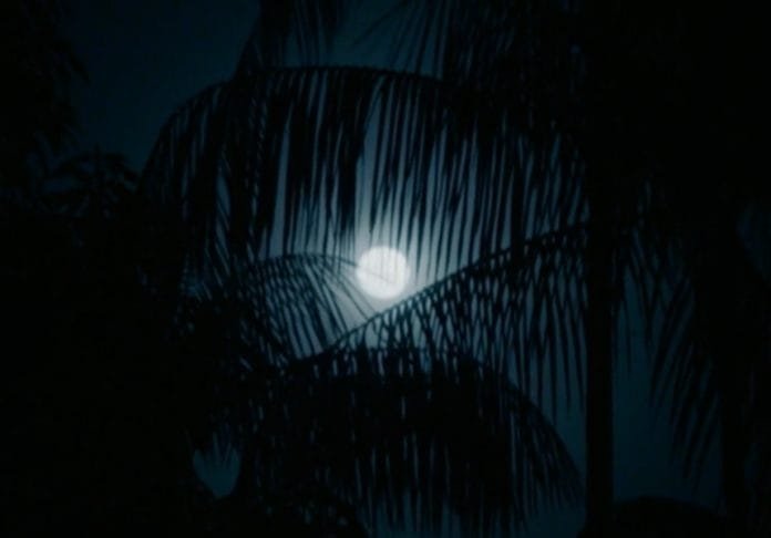 moonlove