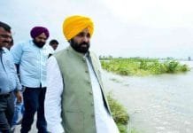 Punjab Chief Minister Calls for Immediate Revocation of Basmati Export Ban
