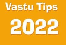 Vastu Tips 2022 : Know in which direction the picture of birds should be placed in the house