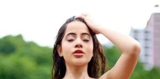 Urfi Javed latest hot pics in silver membrane