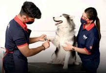 National Dog Day : Zigly organizes FREE Anti Rabies Vaccine drive across their experience centres