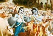 Gopashtami Puja Method