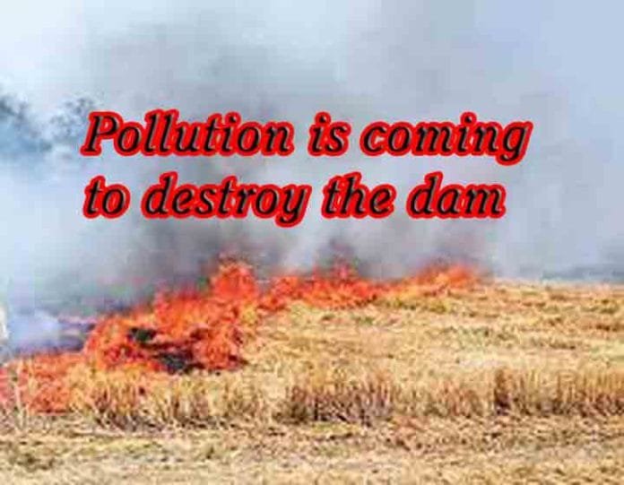 Pollution is coming to destroy the dam