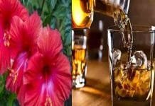 Now people will be able to enjoy heritage liquor heritage liquor