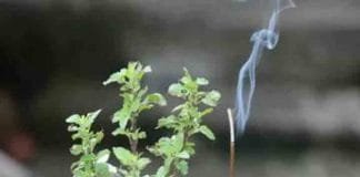 Tulsi Stotra – Bring happiness, peace and prosperity in the house