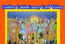Why did Goddess Lakshmi marry Lord Vishnu only? Goddess Lakshmi marry Lord Vishnu