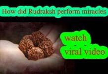 Even the doctor had given up hope, how did Rudraksh perform miracles : watch viral video How did Rudraksh perform miracles watch viral video