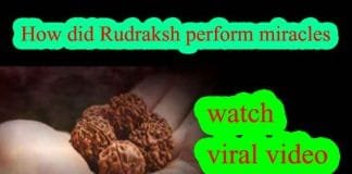Even the doctor had given up hope, how did Rudraksh perform miracles : watch viral video How did Rudraksh perform miracles watch viral video