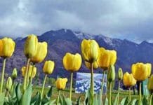 Kashmir IRCTC Tour Packages, Best Government Tour Packages for Kashmir