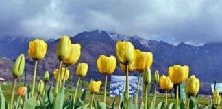 Kashmir IRCTC Tour Packages, Best Government Tour Packages for Kashmir