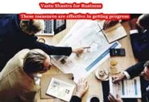 Vastu Shastra for Business , Vastu Tips for Business Business Vastu Tips These measures are effective in getting progress, know Vastu Tips