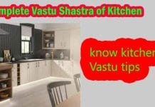 Vastu Tips for Kitchen: Do not keep all these things in the kitchen vastu tips for kitchen, vastu for kitchen, Kitchen Vastu, according to kitchen Vastu Shastra,
