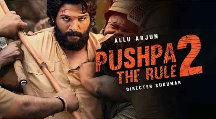 Pushpa The Rule, Teaser Trailer Reaction
