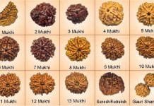 Rudraksha significance , rules for wearing Rudraksha and the Rudraksha benefits Rudraksha