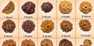 Rudraksha significance , rules for wearing Rudraksha and the Rudraksha benefits Rudraksha