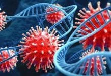 India on High Alert: JN.1 Variant Advisory and COVID-19 Precautions Virus