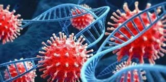 Dramatic Decrease in Nipah Virus Mortality Rate: A Testament to Kerala’s Healthcare System Virus