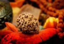 Rudraksha wearing rituals
