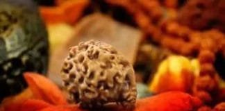 Rudraksha wearing rituals