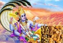 Unlock Divine Blessings: Donate These Sacred Items on Nirjala Ekadashi 2023 vishnupuja