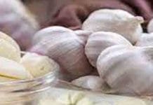 Astrology and Garlic: Unleash the Hidden Potential for Prosperity