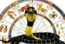 Sawan Kaal Sarp Dosh remedies