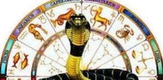 Vastu and astrological rules for feeding and watering birds