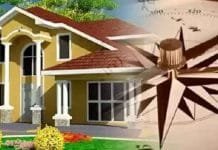 Revitalize Your Home: Top Feng Shui Tips to Remove Negative Energy