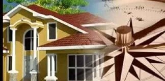 Revitalize Your Home: Top Feng Shui Tips to Remove Negative Energy