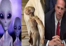 Why is America Hiding Aliens – What is America Doing with Aliens America Hiding Aliens
