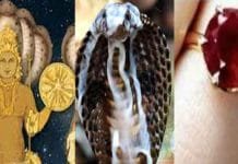 Onyx: Your Guardian Against Rahu and Kaal Sarp Dosh Rahu Dosh or Kaal Sarp Dosh and the Power of Onyx