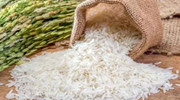rice