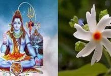 Flowers Beloved by Lord Bholenath: Offering Divine Devotion Through Blossoms Lord Bholenath's favorite flowers