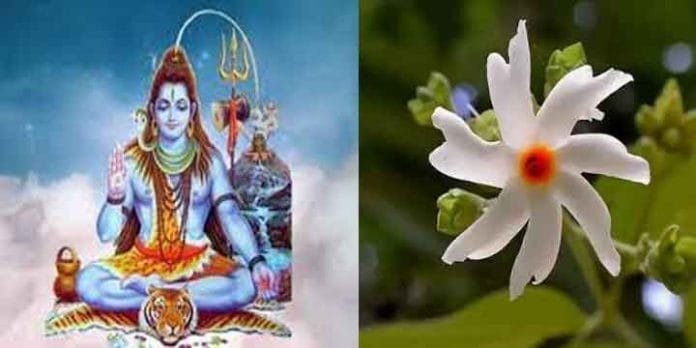Lord Bholenath's favorite flowers