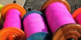 Delhi Implements Strict 5-Year Jail Term for Chinese Manjha Use: Safety Takes Priority Dangerous Chinese Manjha Use in Delhi Will Now Lead to 5 Years in Jail