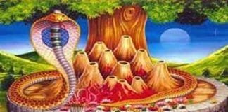 Nag Panchami 2024: Embrace blessings with unique astral alignments and sacred rituals Nag Panchami