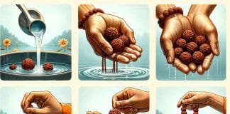 How to wear Rudraksha correctly Lord Shiva's tears: Rudraksha origins