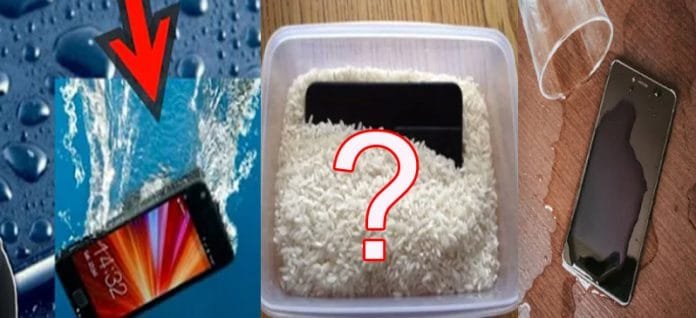 Apple-advice-for-water-dama