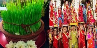 Why Sorghum is Sown During Navratri: The Belief Linked to Durga Mata Sorghum sowing ritual