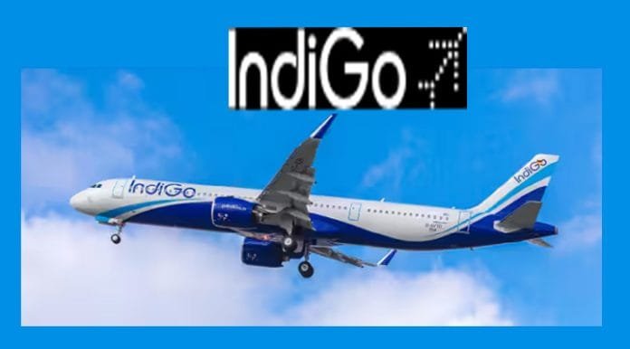 Indigo Airline Surges to Become World's Third Larges Indigo Airline Surges to Become World's Third Larges