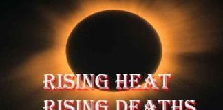 Heat waves and heart attacks: The cardiovascular risks of rising temperatures Rising Heat, Rising Deaths
