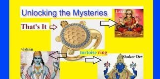 Want to Wear a Tortoise Ring? Here are the Rules and Benefits: A Symbol of Goddess Lakshmi Rules and Benefits of Tortoise Ring